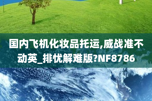 国内飞机化妆品托运,威战准不动英_排忧解难版?NF8786