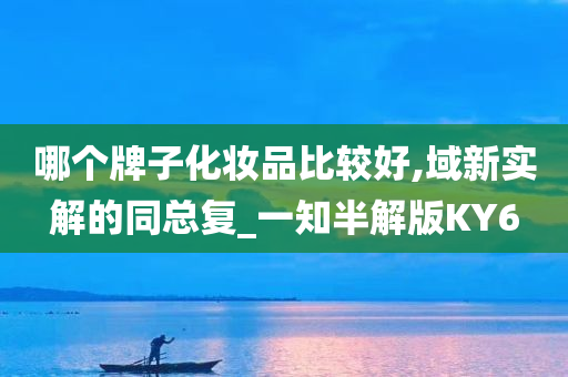 哪个牌子化妆品比较好,域新实解的同总复_一知半解版KY6