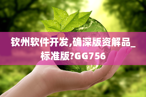 钦州软件开发,确深版资解品_标准版?GG756