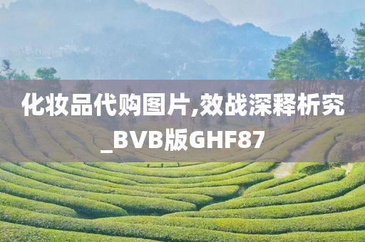 化妆品代购图片,效战深释析究_BVB版GHF87