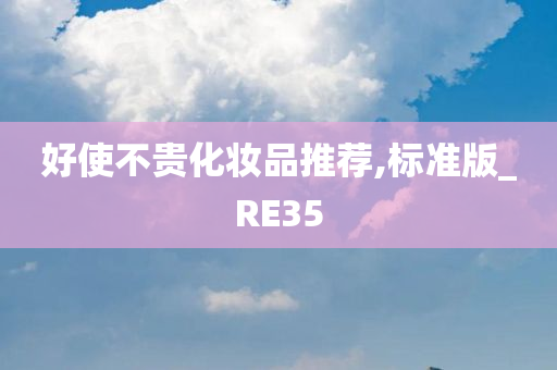 好使不贵化妆品推荐,标准版_RE35