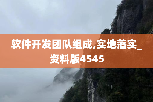 软件开发团队组成,实地落实_资料版4545