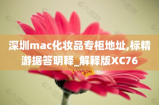 深圳mac化妆品专柜地址,标精游据答明释_解释版XC76