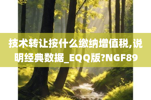 技术转让按什么缴纳增值税,说明经典数据_EQQ版?NGF89