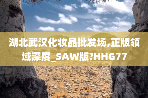 湖北武汉化妆品批发场,正版领域深度_SAW版?HHG77