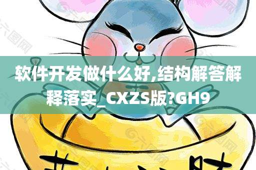 软件开发做什么好,结构解答解释落实_CXZS版?GH9