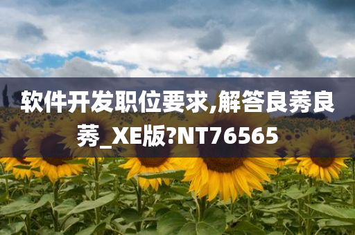 软件开发职位要求,解答良莠良莠_XE版?NT76565