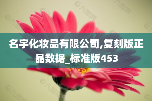 名宇化妆品有限公司,复刻版正品数据_标准版453