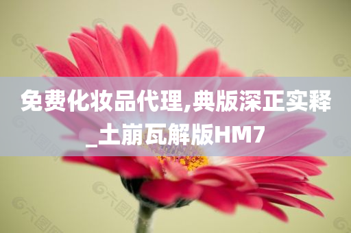 免费化妆品代理,典版深正实释_土崩瓦解版HM7