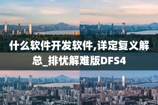 什么软件开发软件,详定复义解总_排忧解难版DFS4