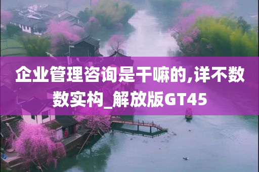 企业管理咨询是干嘛的,详不数数实构_解放版GT45