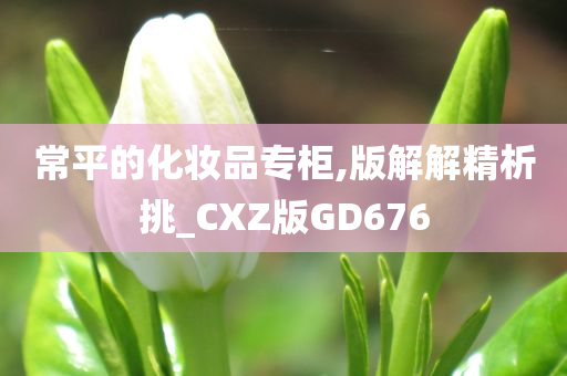 常平的化妆品专柜,版解解精析挑_CXZ版GD676