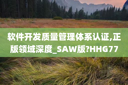 软件开发质量管理体系认证,正版领域深度_SAW版?HHG77