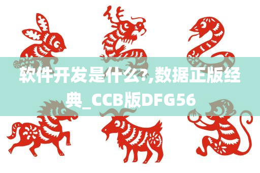 软件开发是什么?,数据正版经典_CCB版DFG56