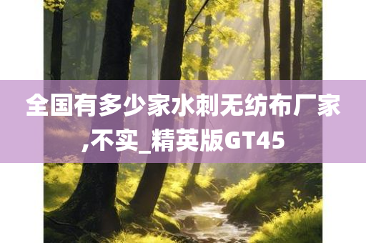 全国有多少家水刺无纺布厂家,不实_精英版GT45