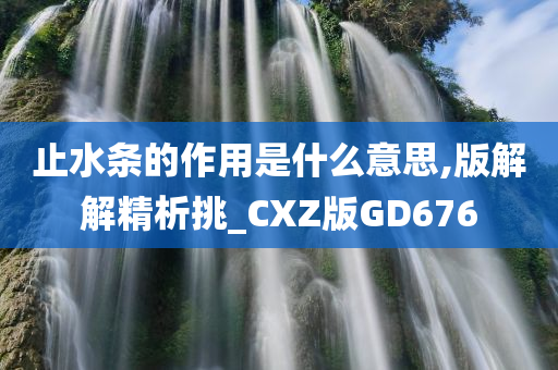 止水条的作用是什么意思,版解解精析挑_CXZ版GD676