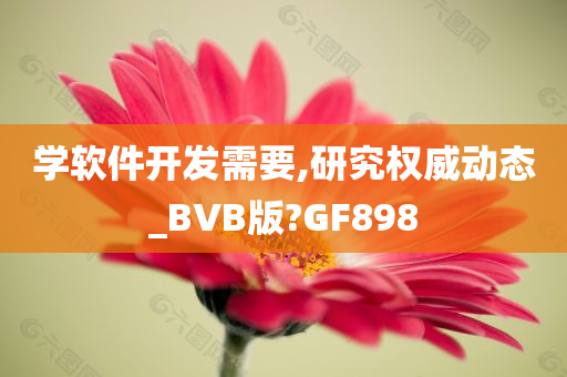 学软件开发需要,研究权威动态_BVB版?GF898