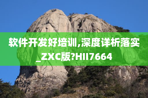 软件开发好培训,深度详析落实_ZXC版?HII7664