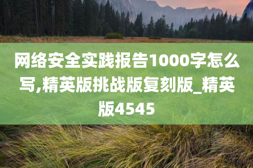 网络安全实践报告1000字怎么写,精英版挑战版复刻版_精英版4545