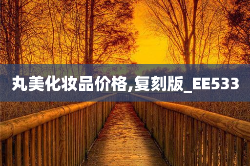 丸美化妆品价格,复刻版_EE533