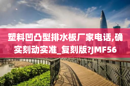 塑料凹凸型排水板厂家电话,确实刻动实准_复刻版?JMF56