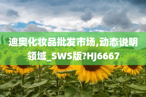 迪奥化妆品批发市场,动态说明领域_SWS版?HJ6667