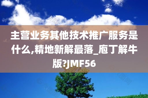 主营业务其他技术推广服务是什么,精地新解最落_庖丁解牛版?JMF56