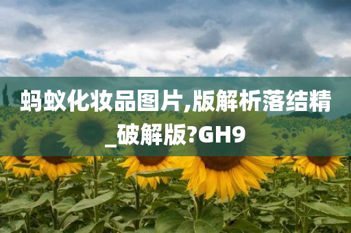 蚂蚁化妆品图片,版解析落结精_破解版?GH9