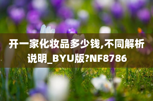 开一家化妆品多少钱,不同解析说明_BYU版?NF8786