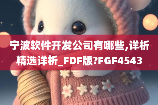 宁波软件开发公司有哪些,详析精选详析_FDF版?FGF4543