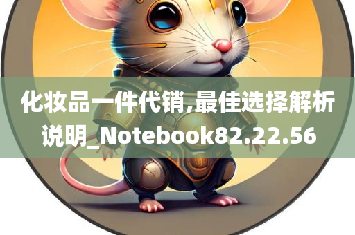 化妆品一件代销,最佳选择解析说明_Notebook82.22.56