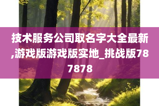 技术服务公司取名字大全最新,游戏版游戏版实地_挑战版787878