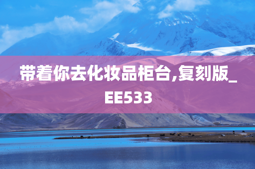 带着你去化妆品柜台,复刻版_EE533