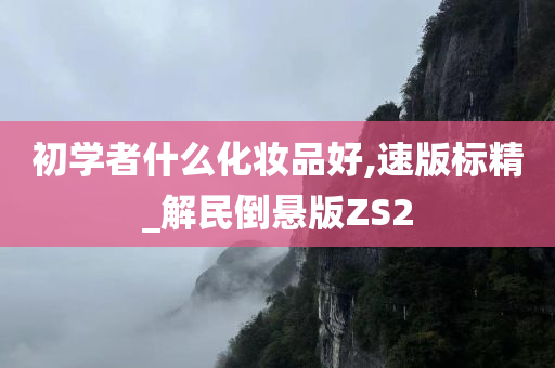 初学者什么化妆品好,速版标精_解民倒悬版ZS2