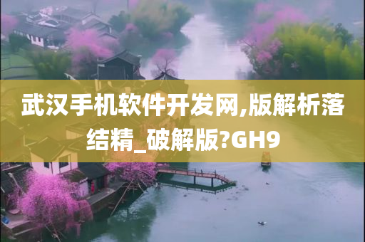 武汉手机软件开发网,版解析落结精_破解版?GH9