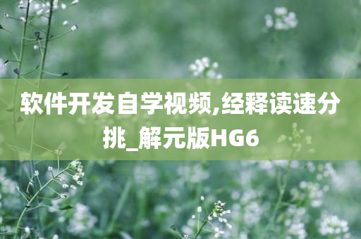 软件开发自学视频,经释读速分挑_解元版HG6