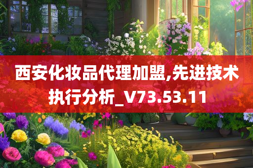 西安化妆品代理加盟,先进技术执行分析_V73.53.11