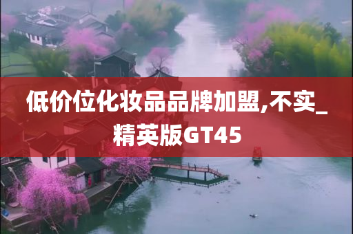 低价位化妆品品牌加盟,不实_精英版GT45