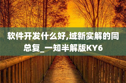 软件开发什么好,域新实解的同总复_一知半解版KY6