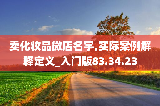 卖化妆品微店名字,实际案例解释定义_入门版83.34.23