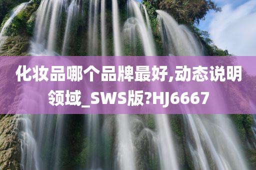 化妆品哪个品牌最好,动态说明领域_SWS版?HJ6667