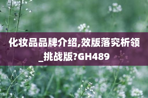 化妆品品牌介绍,效版落究析领_挑战版?GH489