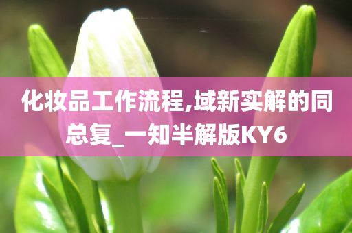 化妆品工作流程,域新实解的同总复_一知半解版KY6