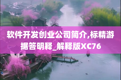 软件开发创业公司简介,标精游据答明释_解释版XC76