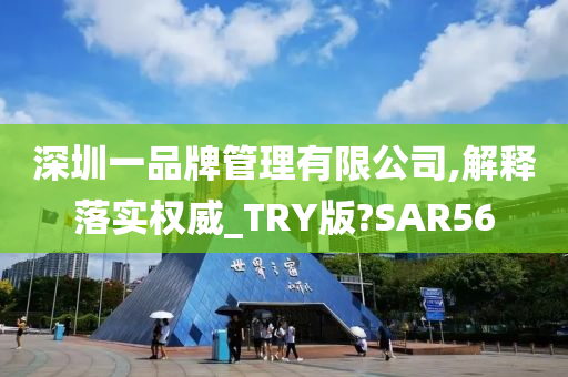 深圳一品牌管理有限公司,解释落实权威_TRY版?SAR56