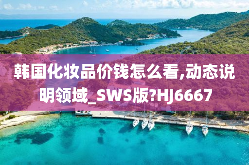 韩国化妆品价钱怎么看,动态说明领域_SWS版?HJ6667