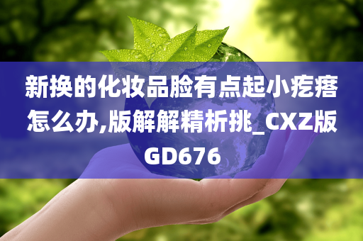 新换的化妆品脸有点起小疙瘩怎么办,版解解精析挑_CXZ版GD676