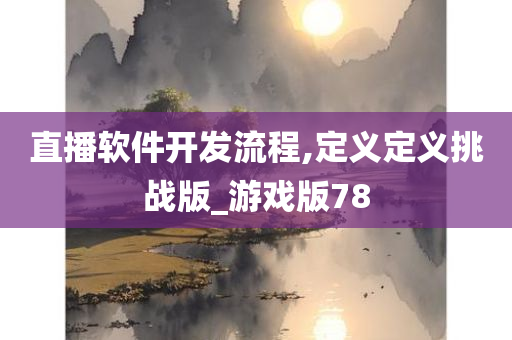 直播软件开发流程,定义定义挑战版_游戏版78