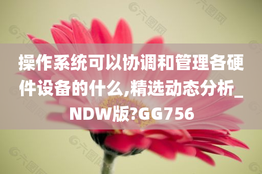 操作系统可以协调和管理各硬件设备的什么,精选动态分析_NDW版?GG756