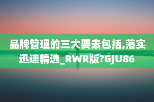 品牌管理的三大要素包括,落实迅速精选_RWR版?GJU86